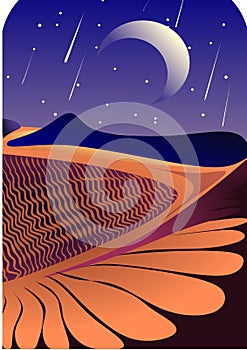 A night in the desert