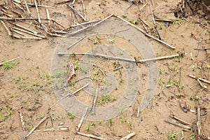 Image of a puddle in the floor. Reflexion and textured due to rain.