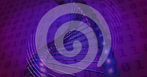 Image of qr code, binary coding, data processing over dna strand spinning