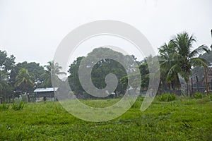 Image of a rainy day in Amazon jungle community.