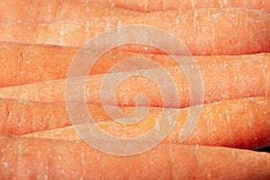 Image of raw carrots lined up, background