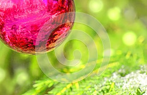 image of red Cristmas ball on fir branch on a green background