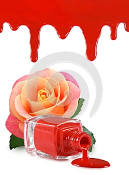 image of red nail polish,flower rose and heart on a white background