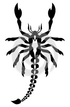 Scorpion tattoo, black and white, isolated. photo