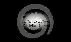 Word genocide highlighted, black and white, latin.