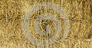 Ricestraw background