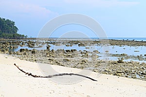 Eulittoral Zone at Low Tide - Rocky and Sandy Pristine Beach and Clear Blue Sky - Sunset Point, Laxmanpur, Neil Island, Andaman