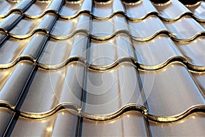 An Image of a Roof tile, pattern, house