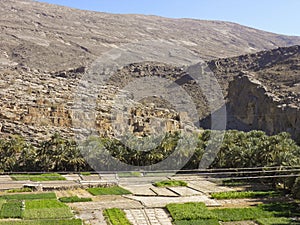 Image of ruins on Jebel Akhdar