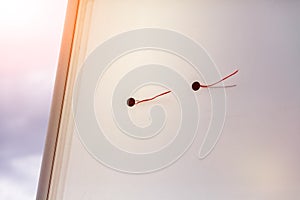 Sailing boat sails background