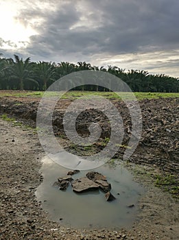 Escena de arado países sobre el plantación 