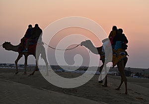 This is an image or scenery of beautiful camel safari and riding in thar desert or sam sand dunes in jaisalmer rajasthan india