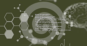 Image of scientific data processing and human brains photo