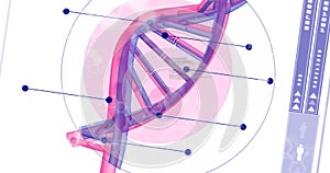 Image of scientific data processing over dna strand spinning