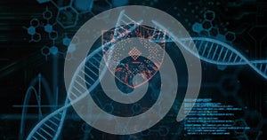 Image of scientific data processing over dna strands on dark background