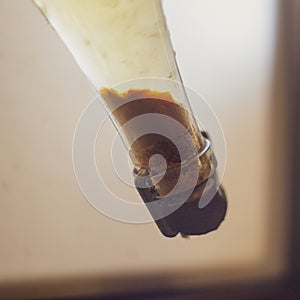 Image of sediment in a wine bottle