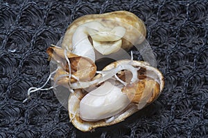 seedling sprouting out from the peanut from the shell.