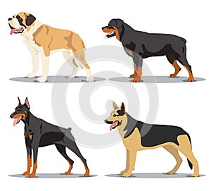 Image set of dogs