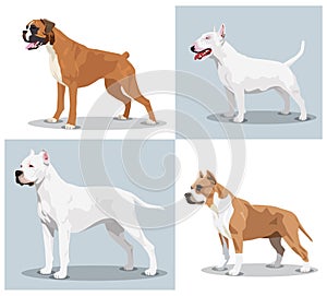 Image set of dogs photo