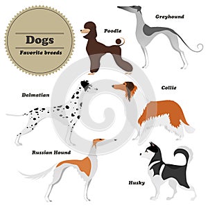 Image set of dogs. Vector illustration.