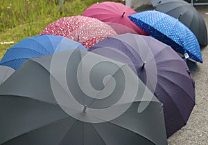 Image of several umbrellas of different colors.