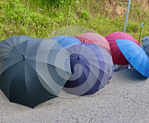 Image of several umbrellas of different colors.