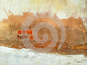 Textured Wall with Exposed Bricks