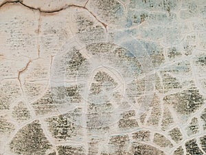 Textured Surfaces with Crack and Patterns