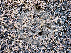 Image showcasing a porous rocky texture, specifically limestone, used as a background