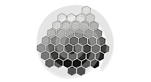Abstract Hexagon Array with Gradient Shade on White Background
