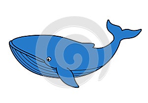 Clip art blue whale photo