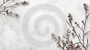 Delicate Frosted Plants on Marble Background