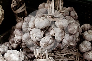 Close-up of a large bunch of garlic bulbs