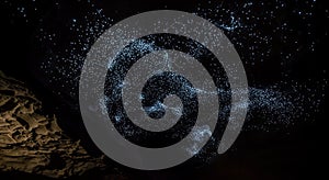 glowworm cave ceiling lights display