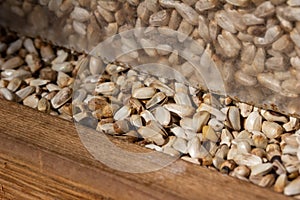 Macro texture background of safflower bird seed