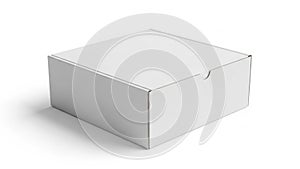 Plain white cardboard box with a simple flap closure design