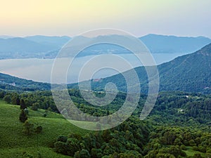 Image shows a serene landscape of a forested area set against the backdrop of a body of water