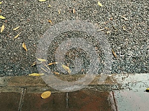 The image shows a wet road with leaves on the side. The ground is covered with water, indicating recent rainfall.