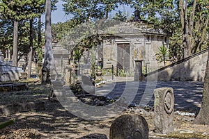 Image of a sidewalk with various graves on the sides in Belen Cemetery