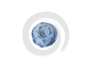 Image of single isolated blueberry