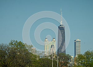 Image of Sky Scrappers in Chicago