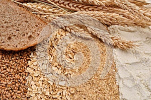 Image of a slice of bread with fresh ears wheat, dry beans of wheat, flour, integral wheat flour and wheat flakes. Concept of raw