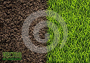 Image of soil and green grass texture. Natural texture. Overhead view. Vector illustration nature background.