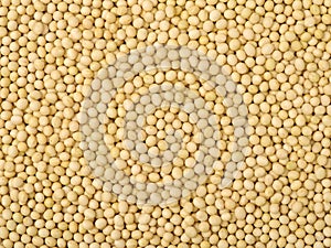 An image of soy beans