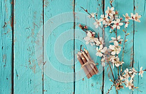 Image of spring white cherry blossoms tree next to wooden colorful pencils on blue wooden table. vintage filtered image