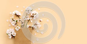 image of spring white cherry blossoms tree over yellow pastel background