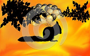 Image of squirrel and balloon