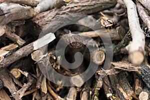 Image of stacked logpile and wood