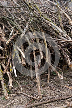 Image of stacked logpile and wood