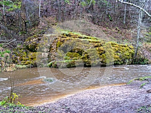 Image of a steep river and mossy coastline, the texture of the water gives the feeling of something soft